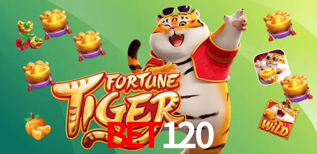 Experiência VIP BET120